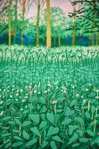 DZfA_ZAXkActYXg.jpg large