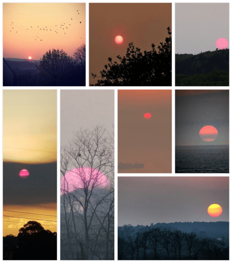 soleilrose_NouvelanLunaire2019